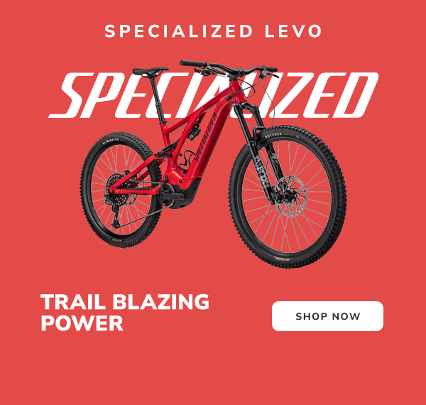 Specialized Levo
